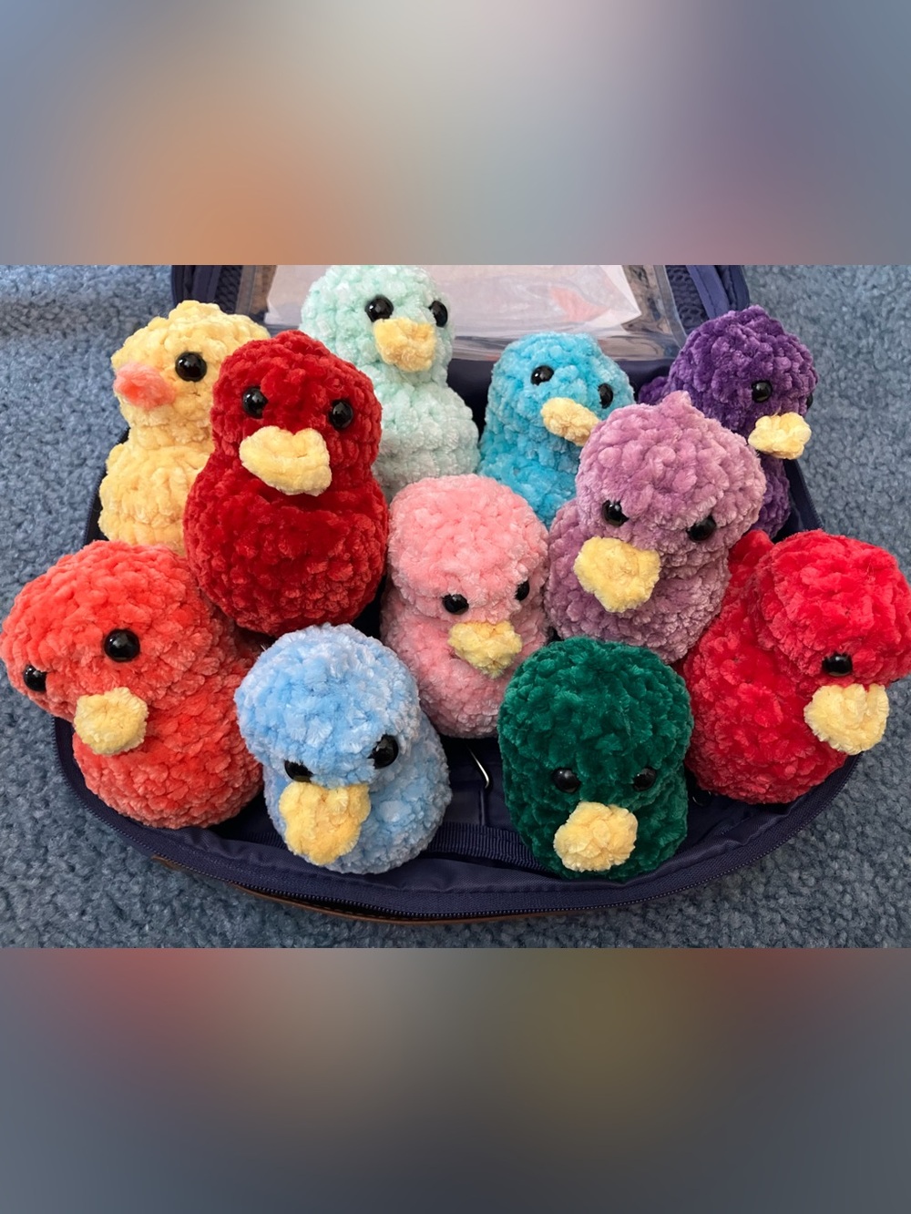 UNLISTED 🦆ADOPT A DUCK 🦆